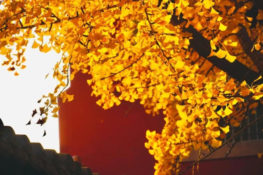 The East Hotel-Very Close To The Drum Tower,The Lama Temple,Houhai Bar Street,And The Forbidden City,There Are Many Old Beijing Traditional Hutongs Around The Hotel ,Experience The Culture Of Old Beijing Hutongs,Near Exit A Of Shichahai On Metro Line المظهر الخارجي الصورة